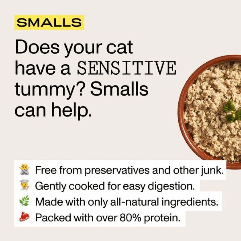 Does your cat have a sensitive tummy Smalls Cat Food Free Static Canva Ad Template
